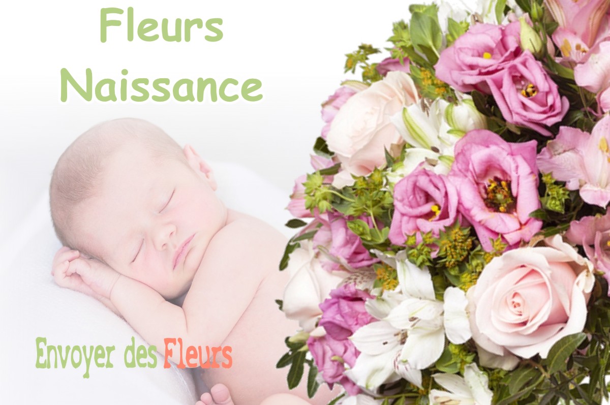 lIVRAISON FLEURS NAISSANCE à MASSABRAC