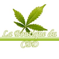 LA BOUTIQUE DU CBD MASSABRAC 